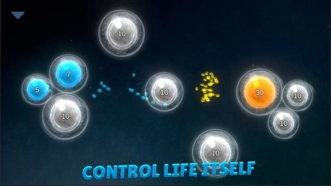 细菌起源2汉化版  v1.2