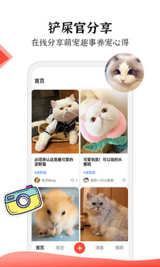 猫猫社 v1.1.00