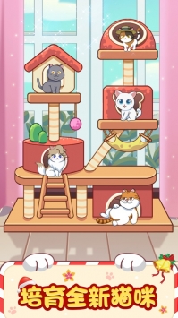 猫咪小家截图2