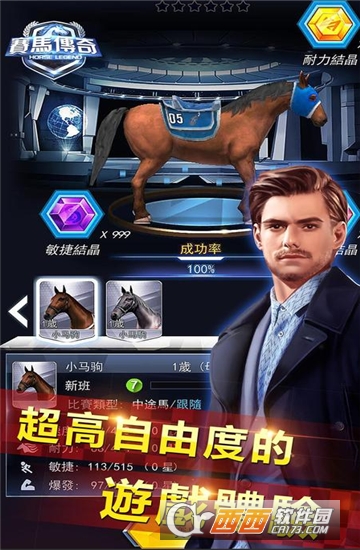 赛马传奇 v1.0.1安卓版