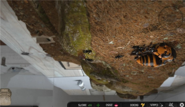 蚂蚁模拟大亨官方版 v2.9.9