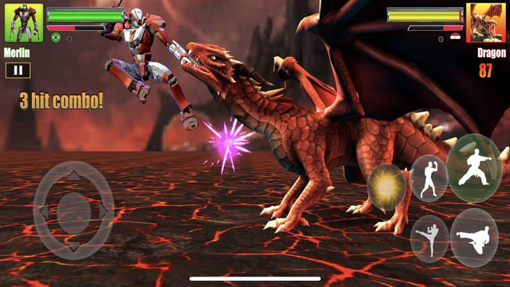 功夫战士空手道战斗  V 1.0