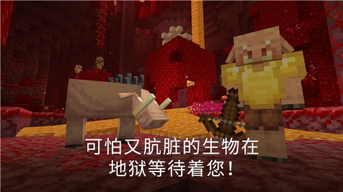 我的世界1.16.221.01 2021-04-23 17:55