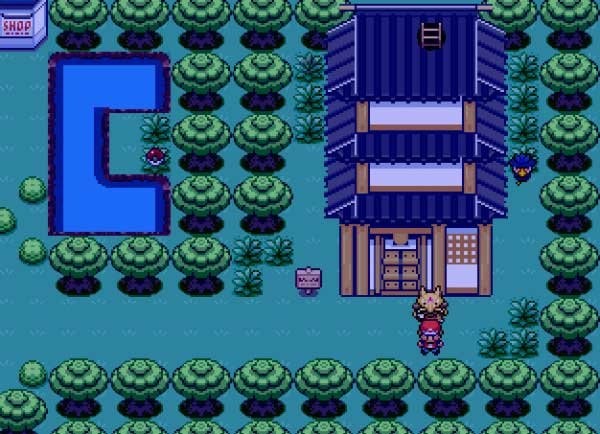 口袋妖怪奇幻旅程 2020-07-23 15:26