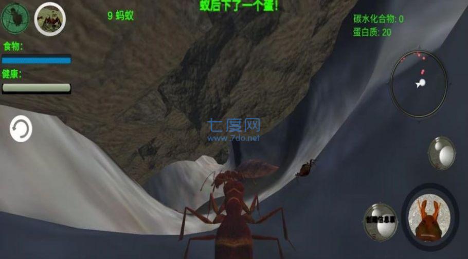 奇妙动物世界探险游戏