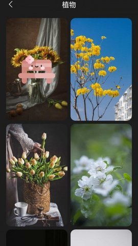 布丁壁纸 v4.7.4