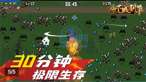 地下城割草完整版