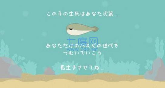 虚无鱼游戏