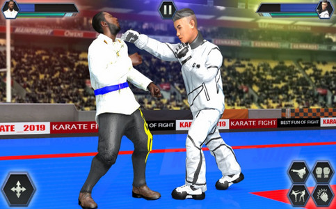 真正的空手道搏击拳2020