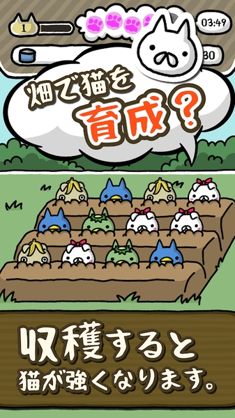 喵喵圆滚滚 v1.0.0 安卓版