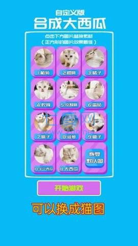 自定义版合成大西瓜 v2.1