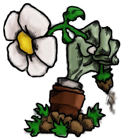 植物大战僵尸 核弹版