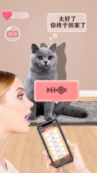 猫咪语言翻译器 v3.0.5