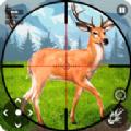 猎鹿狙击射击英雄