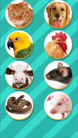 pettranslator动物语言翻译器 v1.1