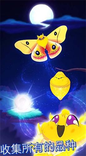 彩翼之星夜破解版 v2.184