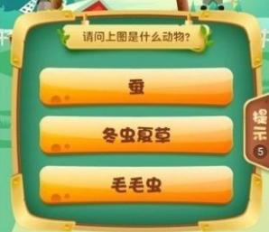 急速猜动物3