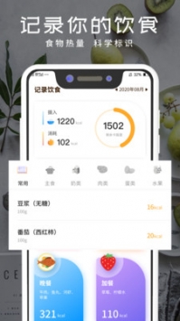 食物热量 v2.0.5