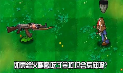 植物大战僵尸金坷垃火麒麟手机版