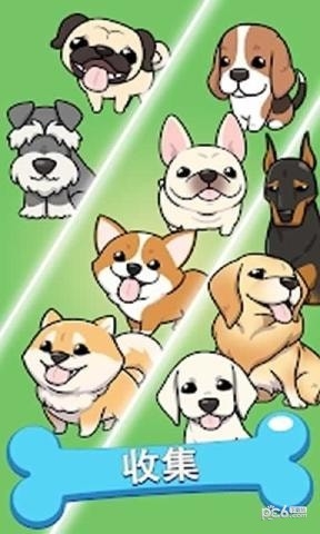 合成狗狗 合成狗狗