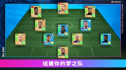 DLS24下载中文手机版  v5.1.3