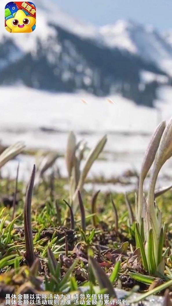 爆破消星星 v1.0.0.000.0714.1157