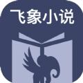 飞象小说