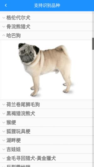 哈狗识别 版本:v1.0