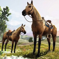 我的野马骑马游戏