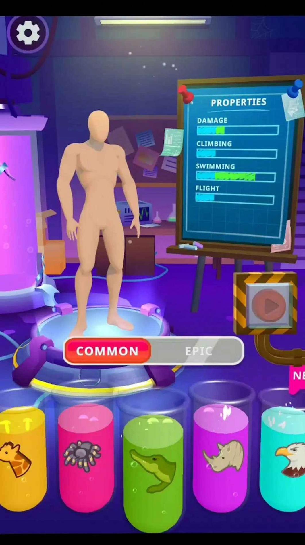 动物疯狂实验室 动物疯狂实验室