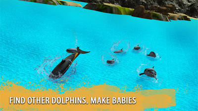 海豚家族模拟器 v1.0