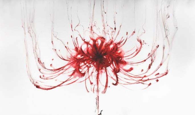 naraka 2020-11-24 10:28