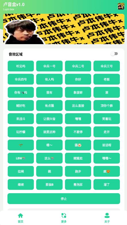 卢音盒  v1.0