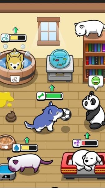 宠物之家 2024-06-25 15:08