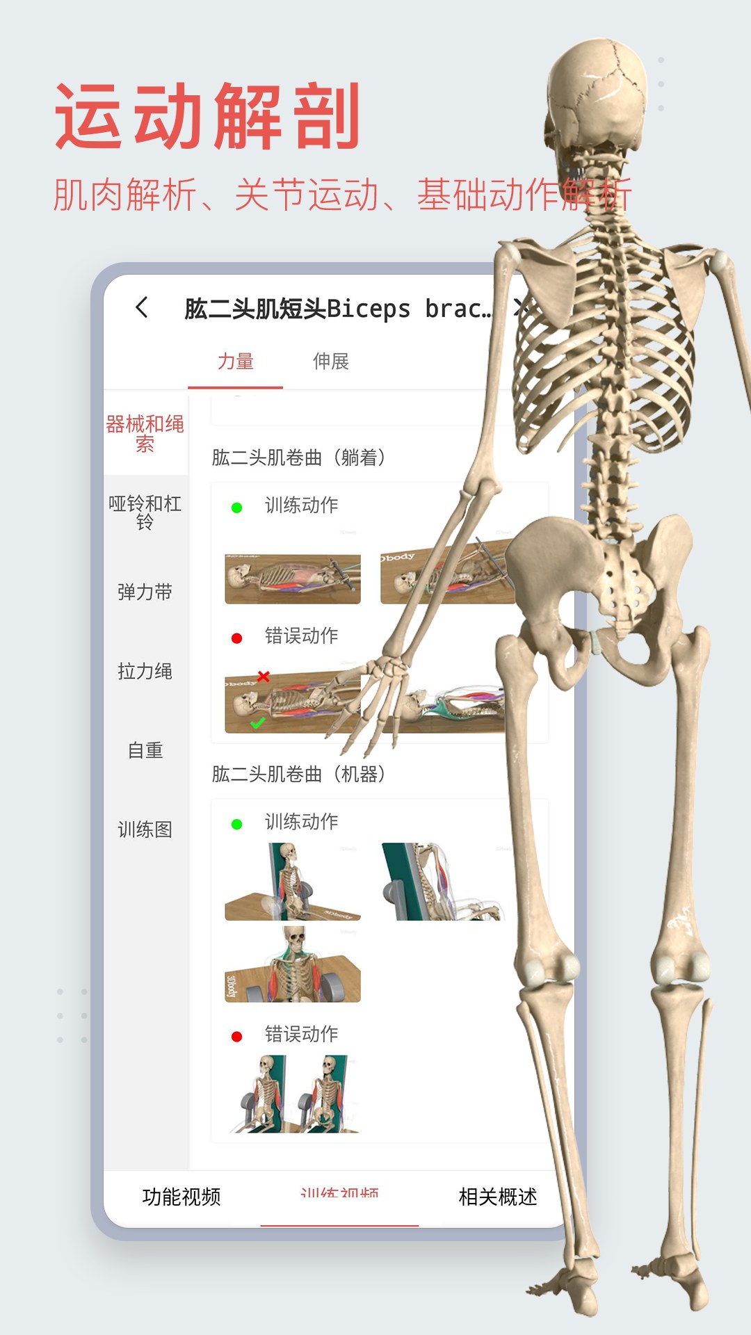 3DBody解剖截图0