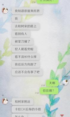 我的女友在被人追赶手机游戏最新版下载  v5.4.1