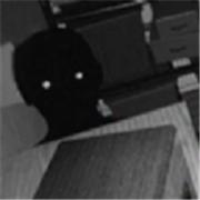 伪人监控模拟器