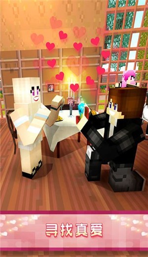 像素爱情世界 2024-06-25 15:08