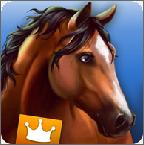 HorseHotel Premium(HorseHotel安卓版)