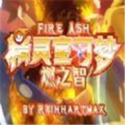 口袋妖怪燃之智汉化版