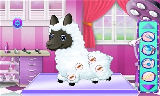 Alpaca Pet Care(羊驼宠物护理安卓版) v1.0.0