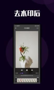 短视频去水印 v3.0.5