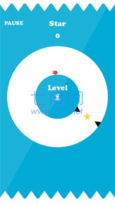 圆鸟飞行Circle Bird