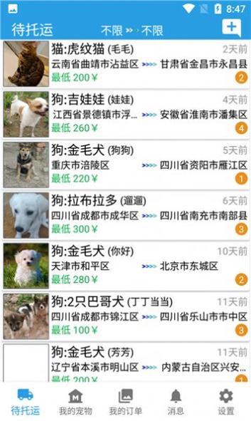 宠物运输托运 v3.01