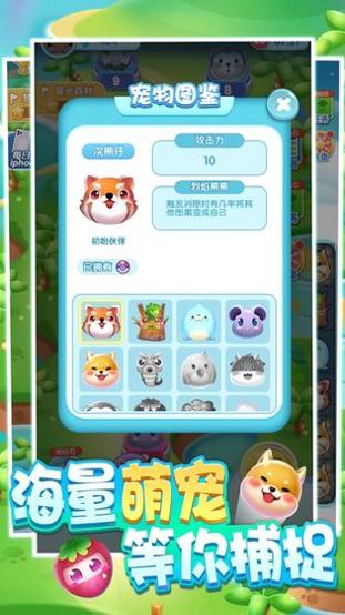 一起来捉宠2 v1.0.2