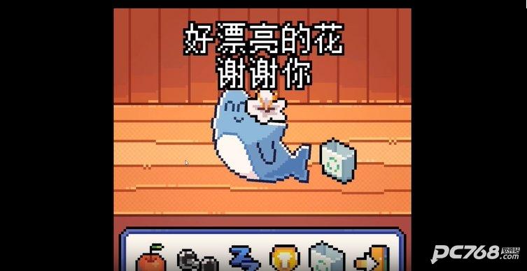 warma我的小鲨鱼