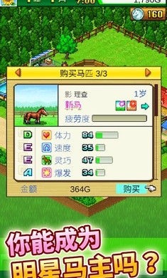 赛马牧场物语正版  v3.00
