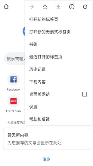 Chrome浏览器  v114.0.5735.196