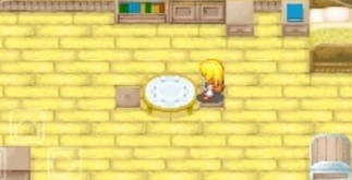 牧场物语女孩版