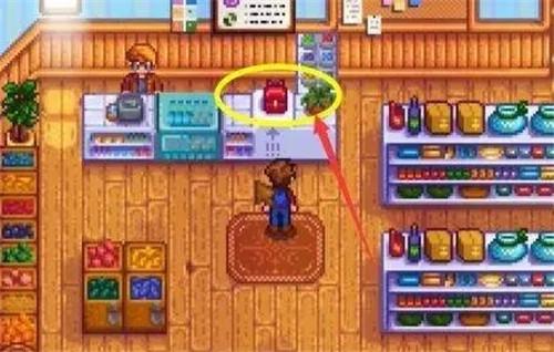 星露谷物语国际服